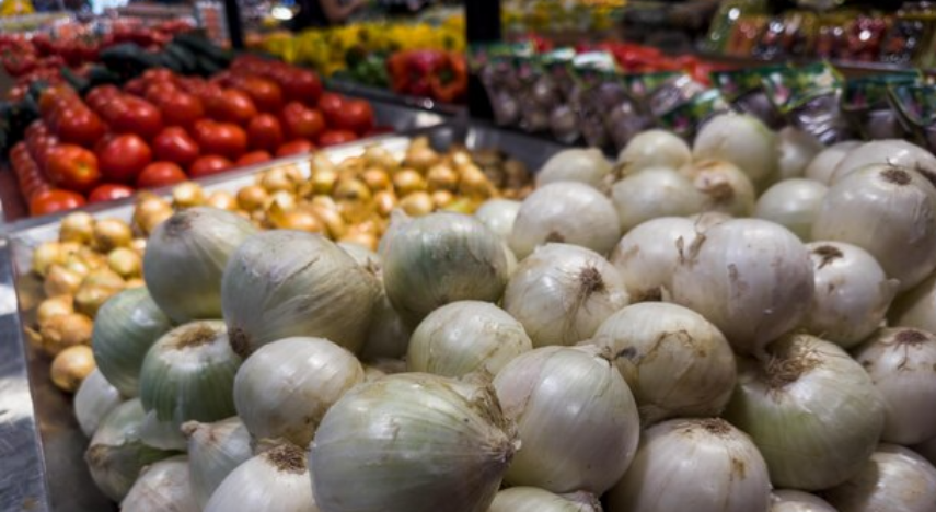 cebola