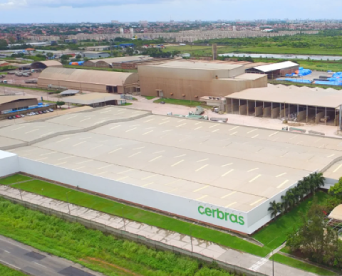 cerbras