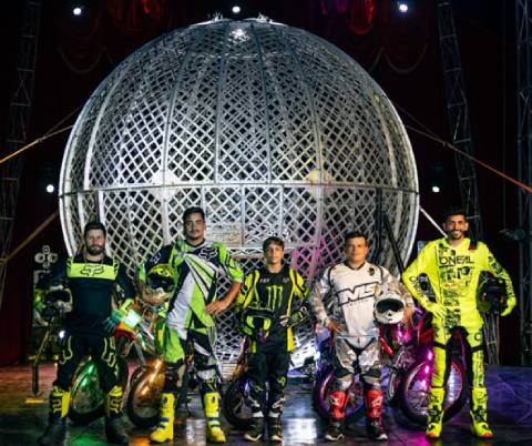 circo