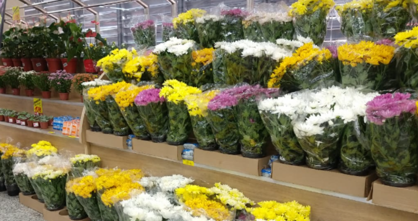 flores