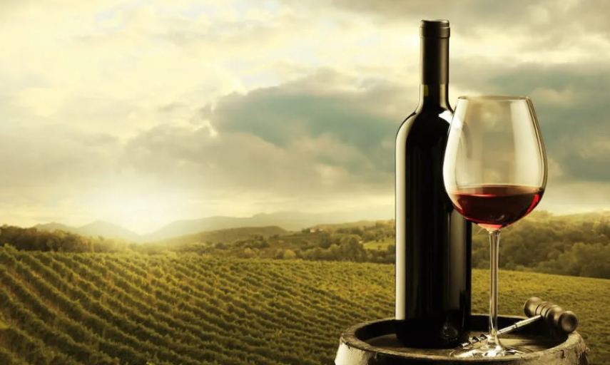 vinhos